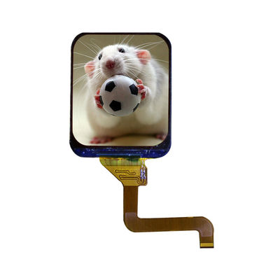 Good price 1.69 inch round display 240*280 resolution 400 brightness SPI interface driver IC ST7789V  online
